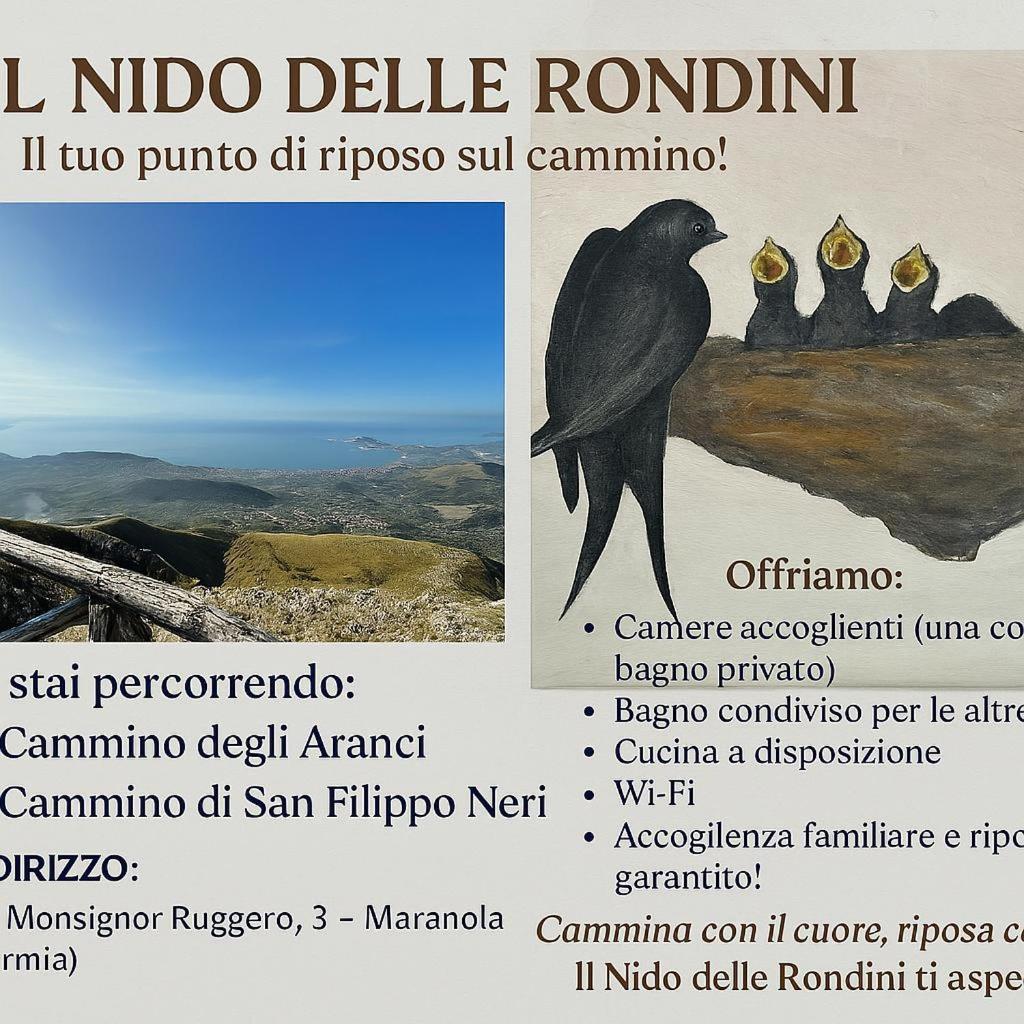 福尔米亚Il Nido Delle Rondini公寓 外观 照片